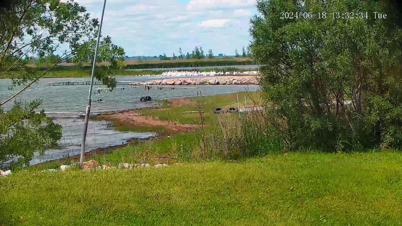 Photo of Others in Saskatchewan
