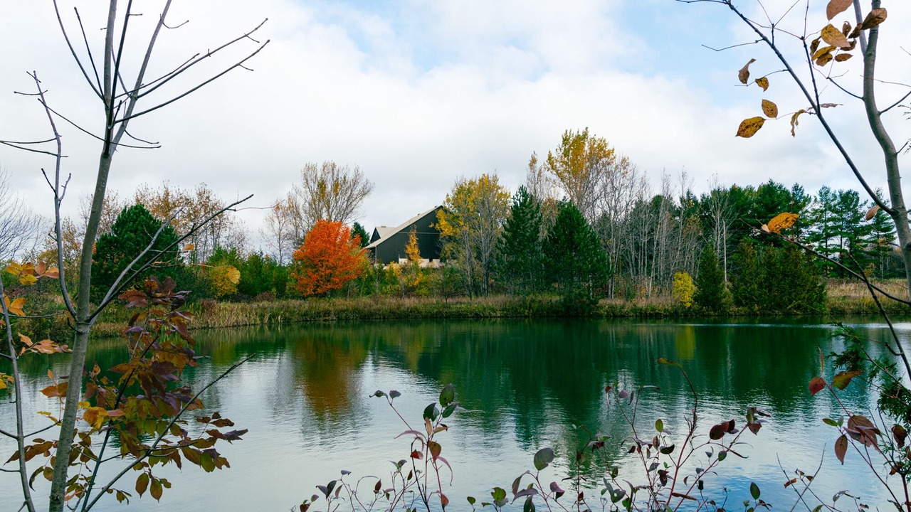 Photo of Others in Meaford