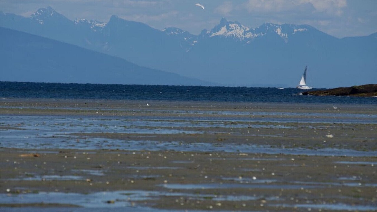 Photo of Others in Regional District of Nanaimo