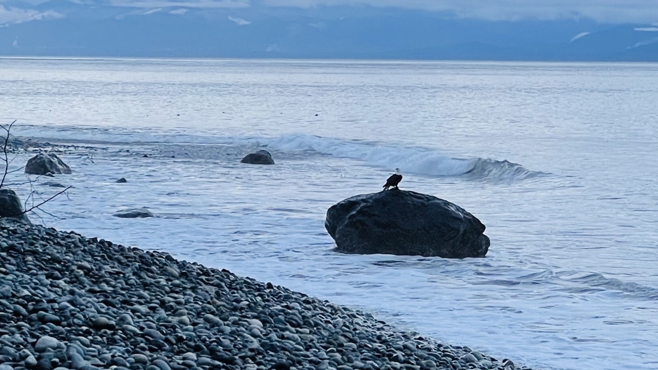 Photo of Others in Otter Point