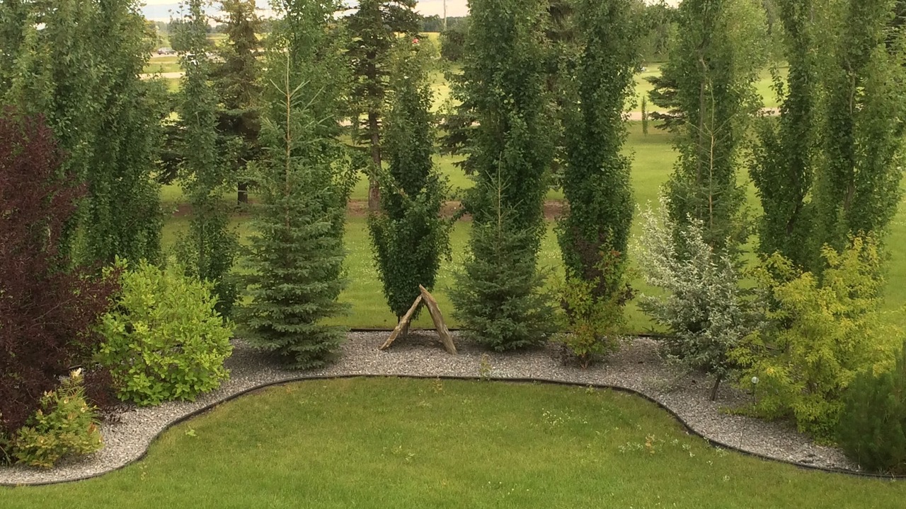 Photo of Others in Red Deer