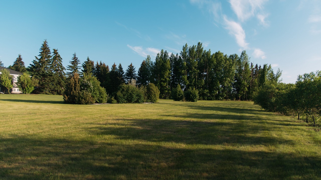 Photo of Others in Red Deer