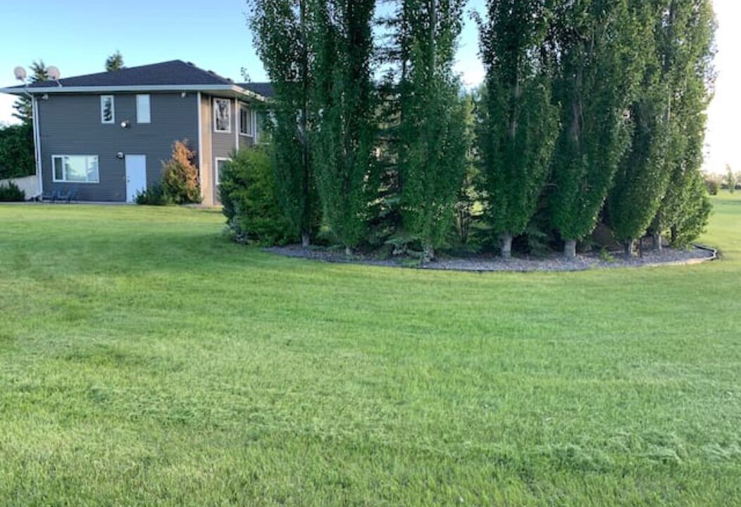 Photo of Others in Red Deer
