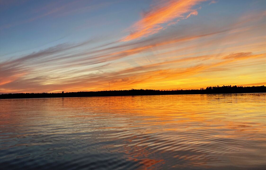 Photo of Others in Trent Lakes