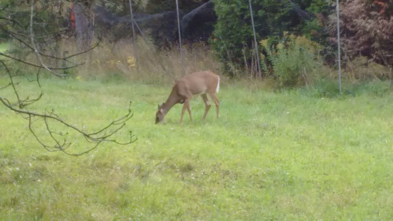 Photo of Outdoor in St. Davids