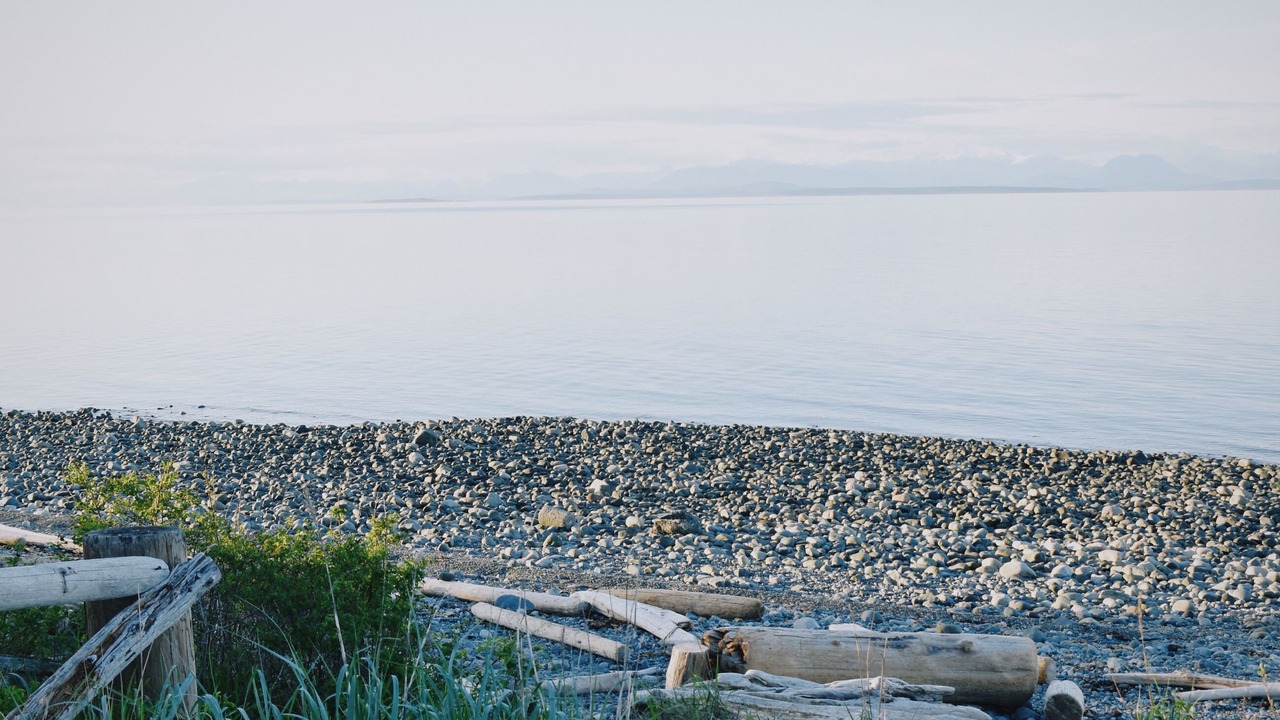 Photo of Others in Courtenay