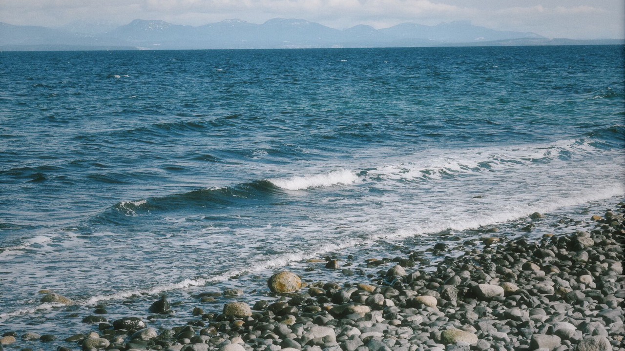 Photo of Others in Courtenay