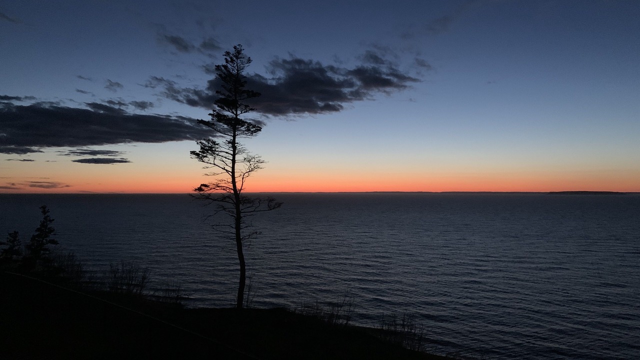 Photo of Others in Bay of Fundy & Annapolis Valley