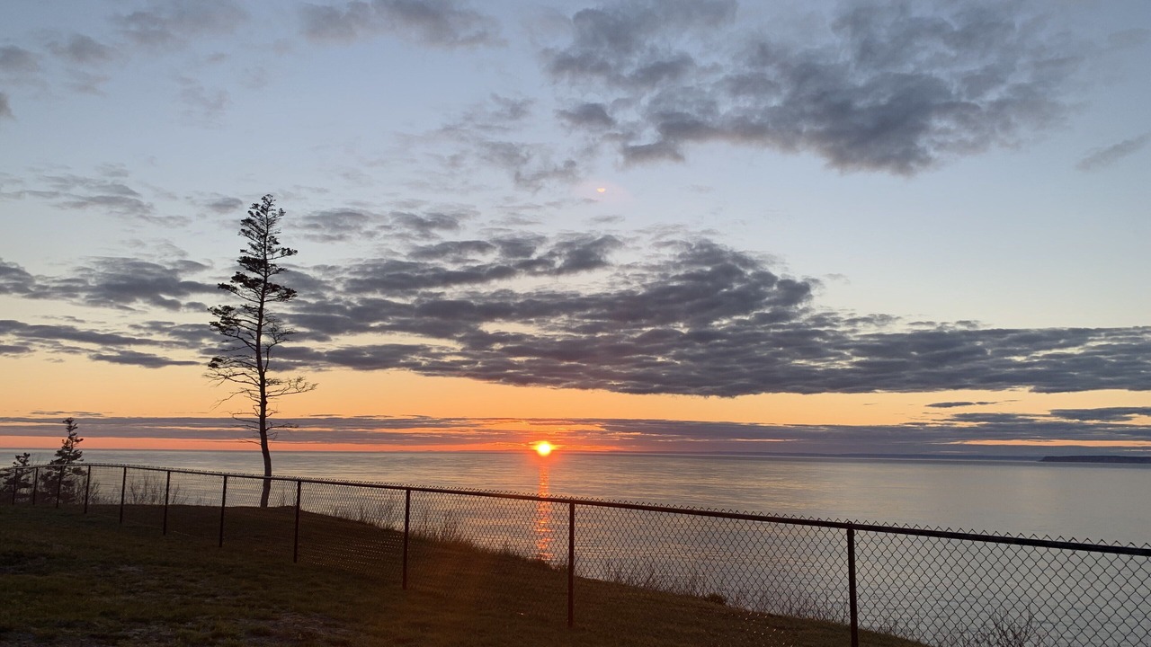 Photo of Others in Bay of Fundy & Annapolis Valley