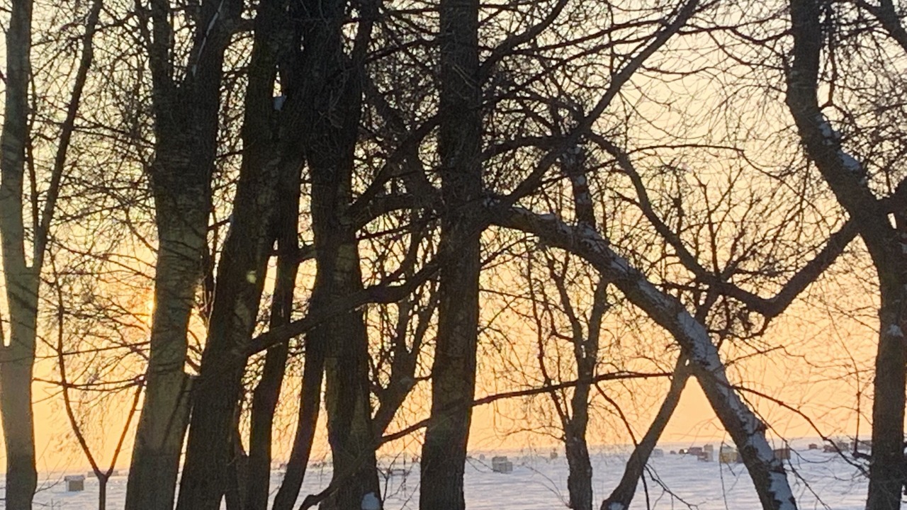 Photo of Others in Gimli