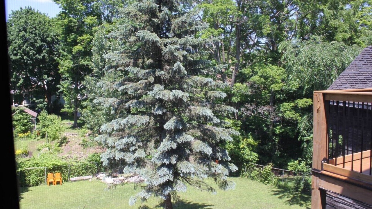 Photo of Outdoor in Orillia