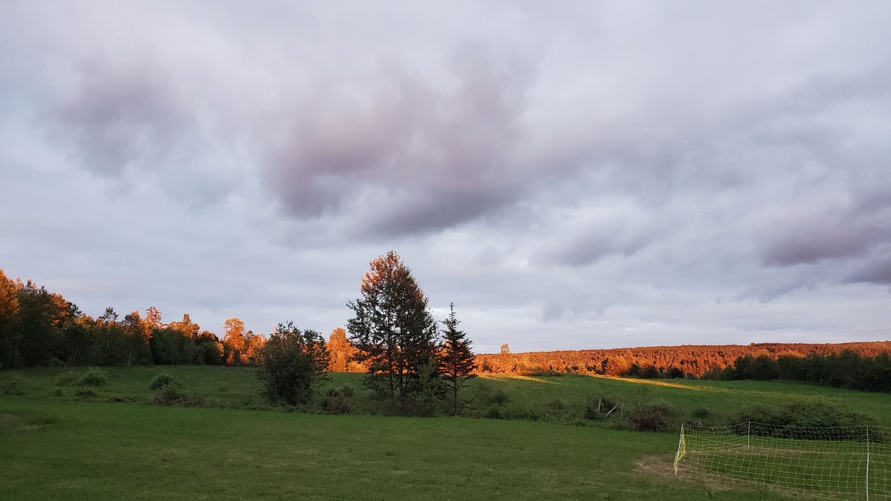Photo of Others in Saint-Joseph-de-Ham-Sud