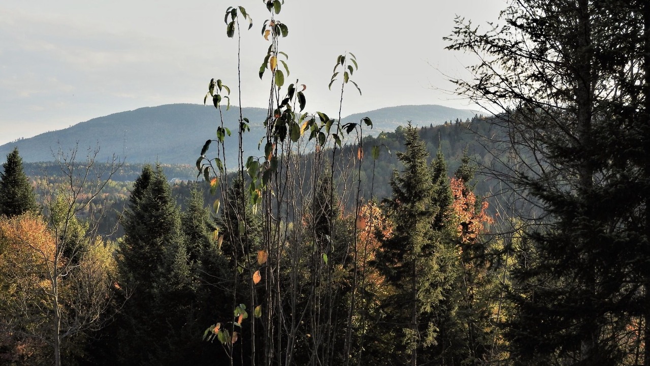 Photo of Outdoor in Saint-Brigitte-de-Laval