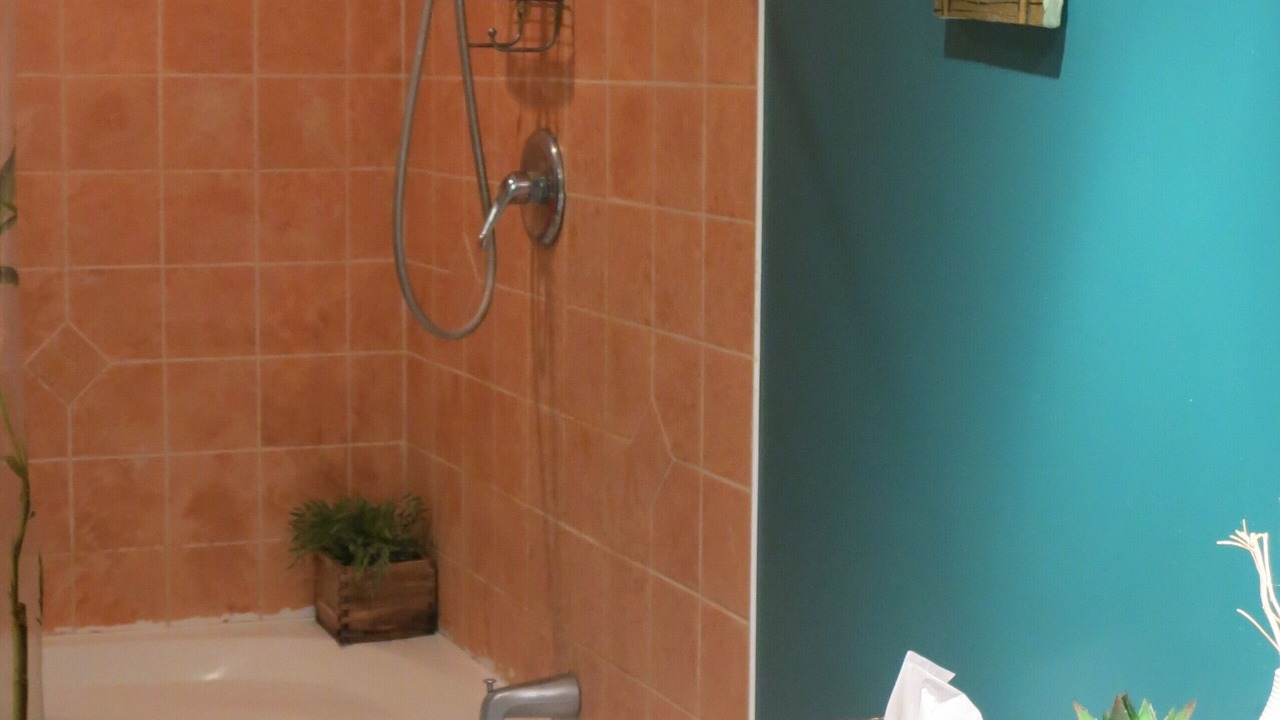 Photo of Bathroom in Tiny