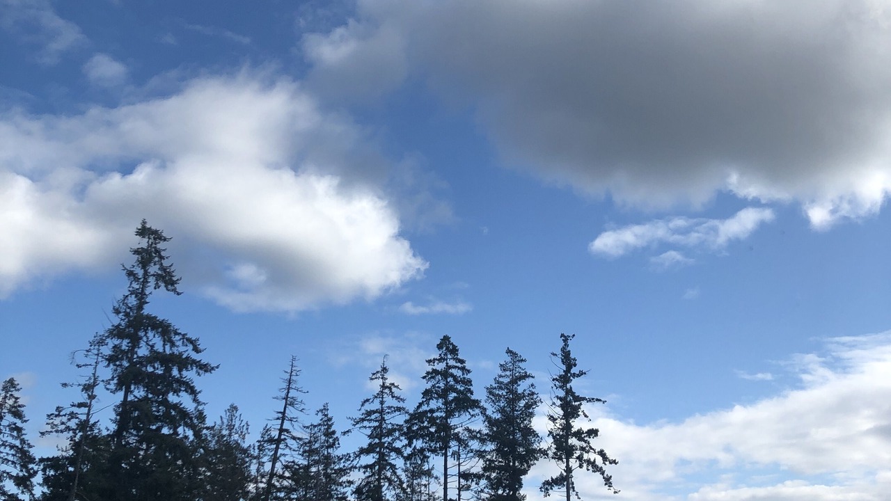 Photo of Others in Bear Mountain Resort