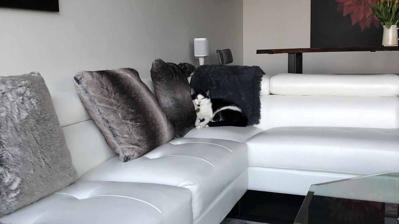 Photo of Livingroom in Bear Mountain Resort