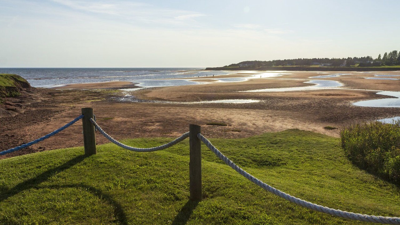 Photo of Others in Canoe Cove