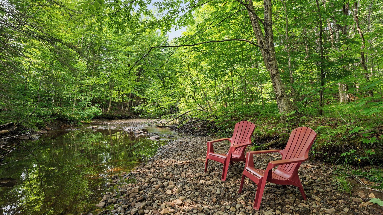 Photo of Outdoor in Stoneham