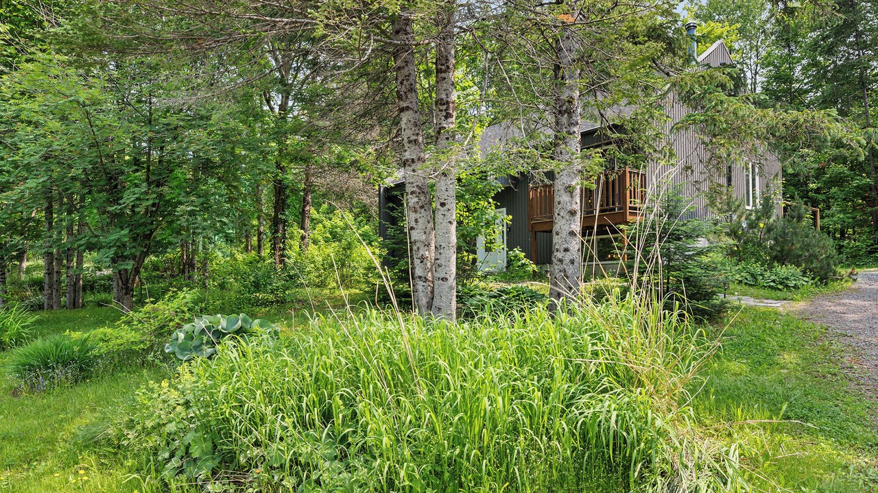 Photo of Outdoor in Stoneham