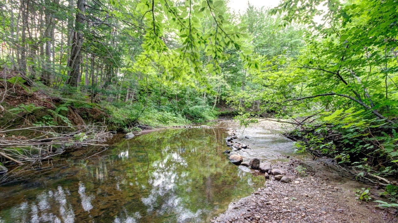 Photo of Outdoor in Stoneham