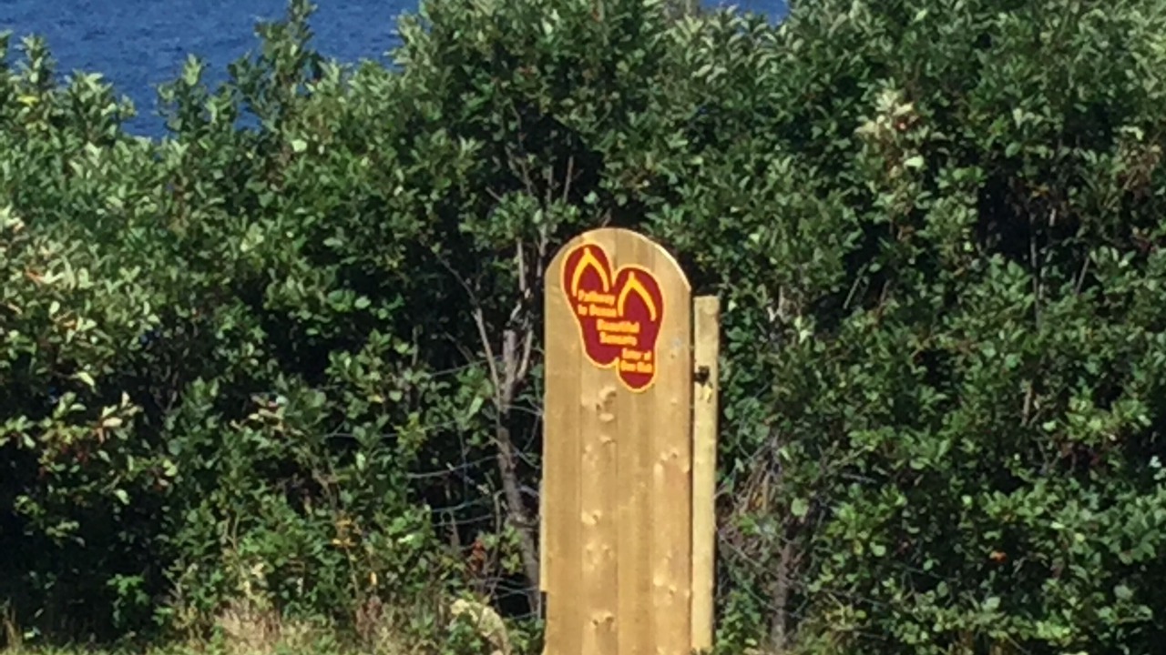 Photo of Outdoor in Pleasant Bay