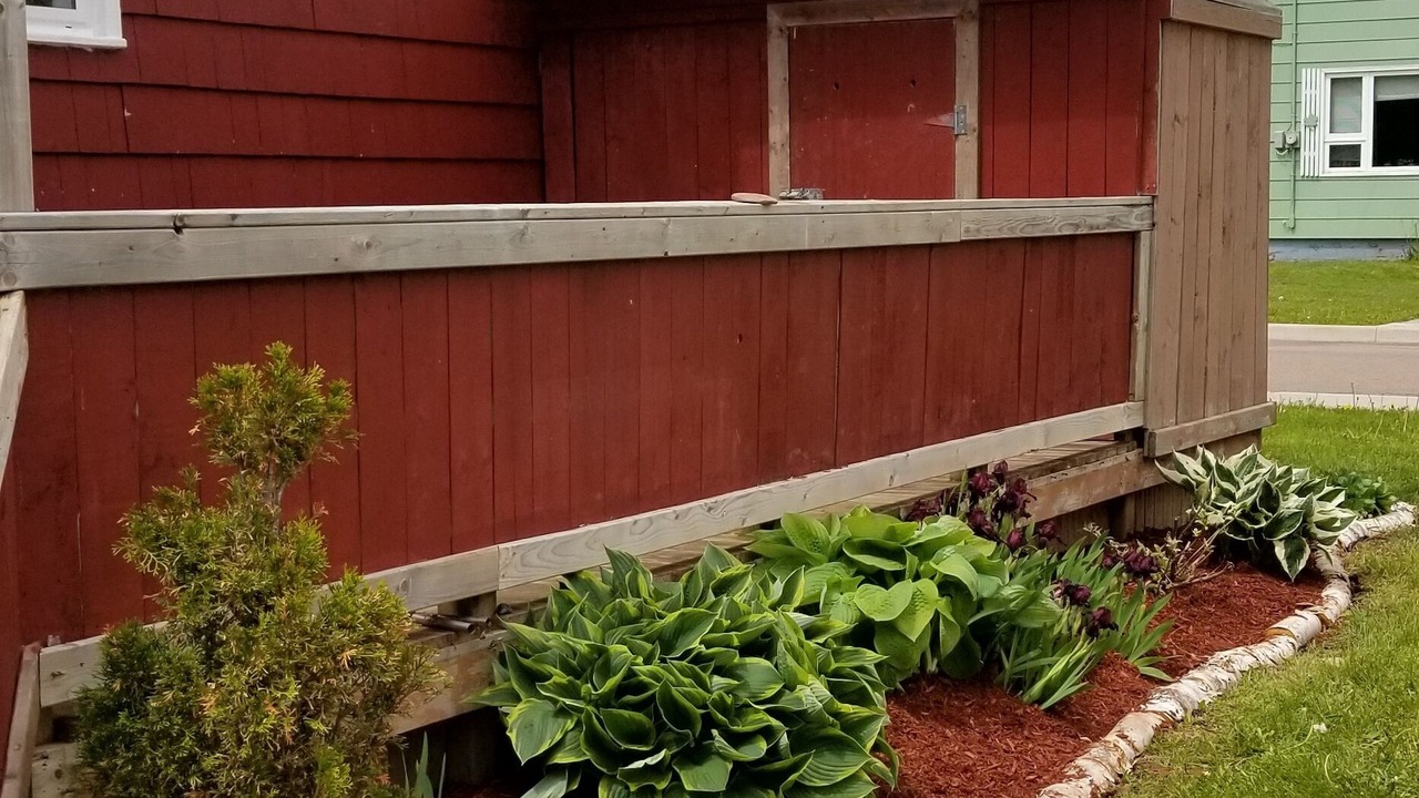 Photo of Outdoor in Summerside