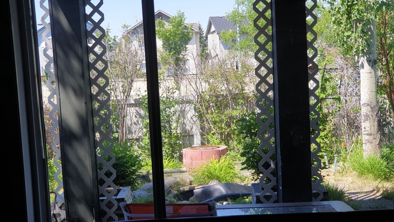 Photo of Outdoor in Shawnessy