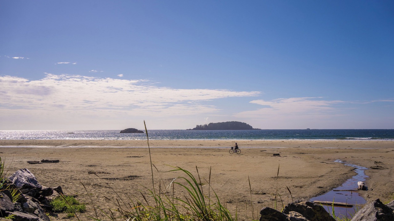 Photo of Others in Tofino