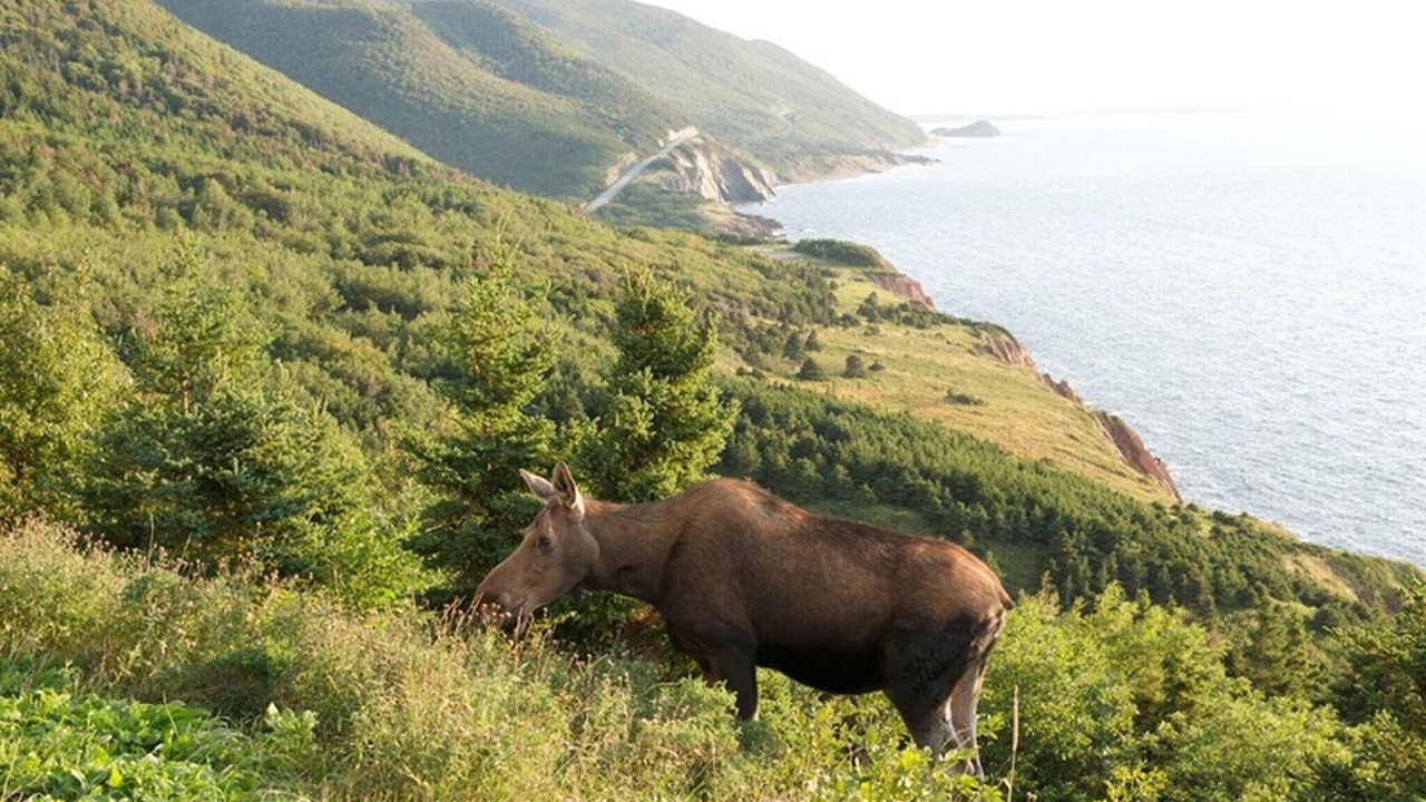Photo of Others in Pleasant Bay