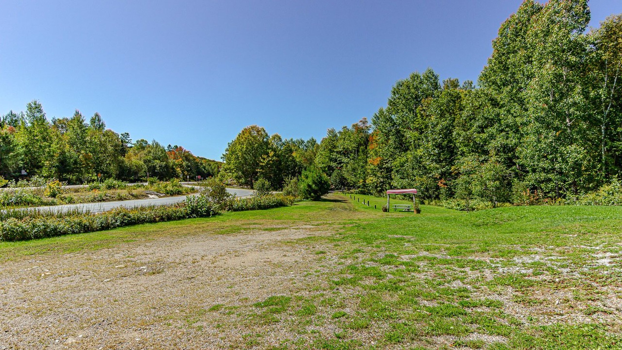 Photo of Outdoor in Dorset