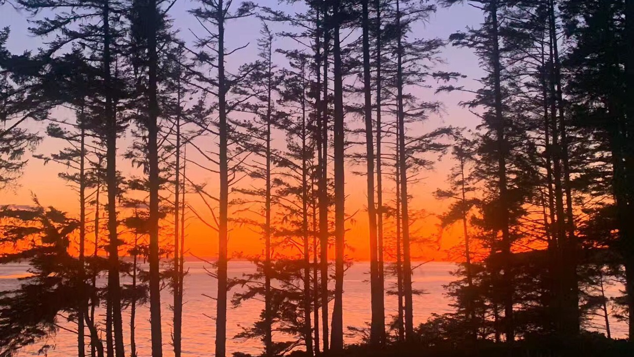 Photo of Others in Otter Point