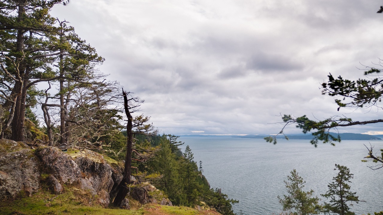 Photo of Others in Pender Island