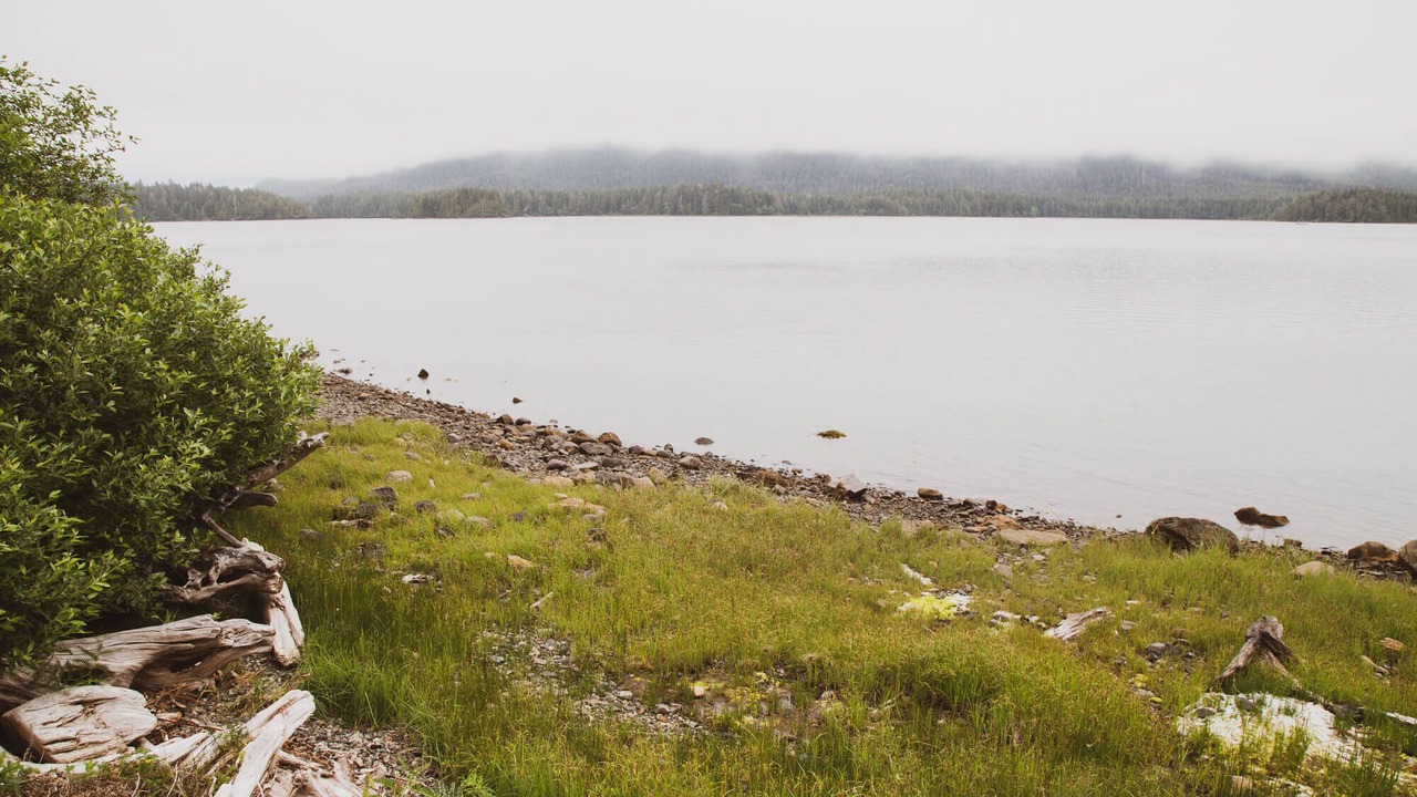 Photo of Others in Tofino