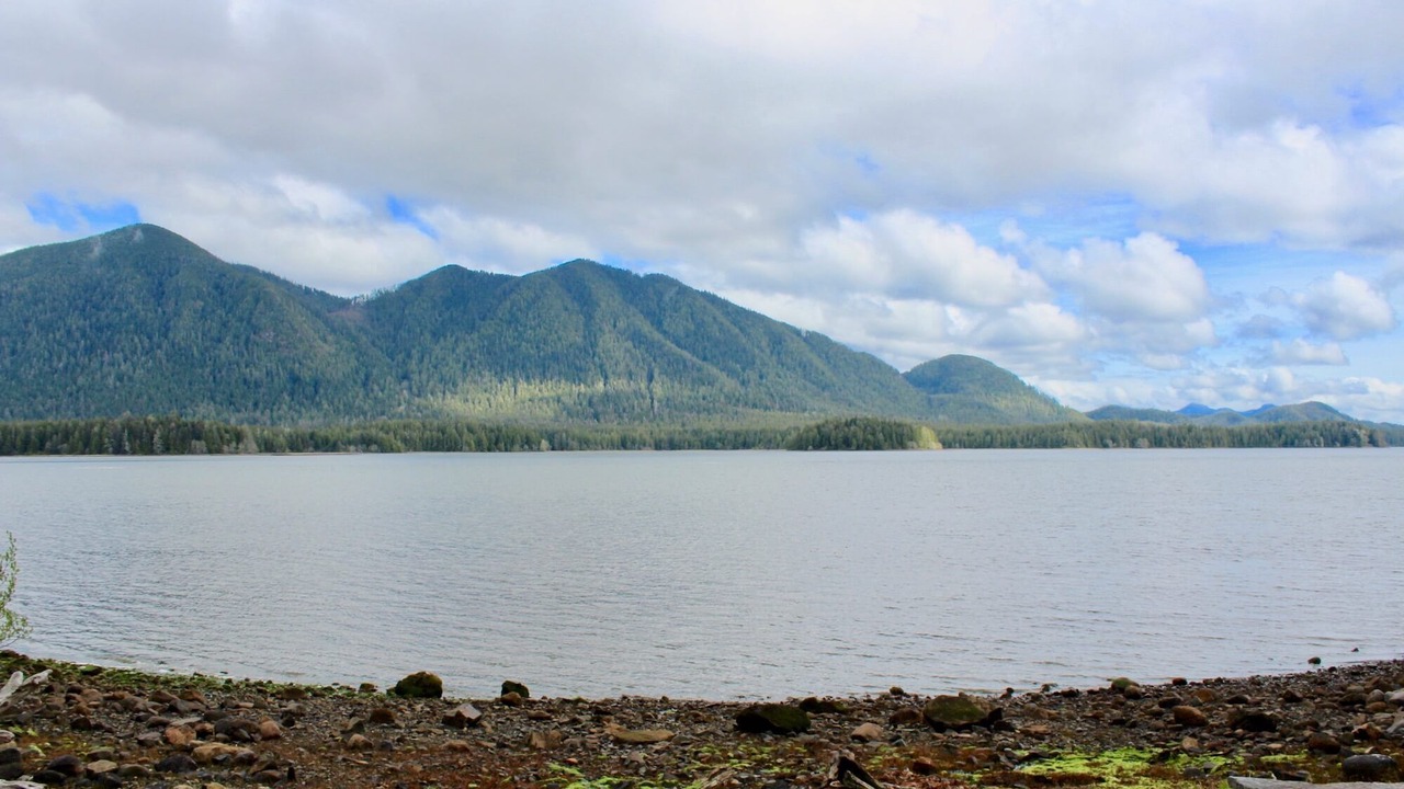 Photo of Others in Tofino