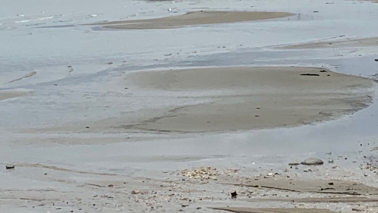 Photo of Outdoor in St. Andrews