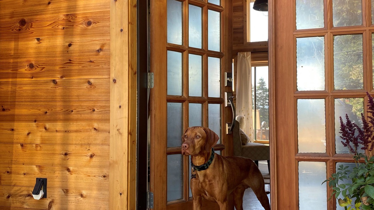 Photo of Outdoor in Sooke