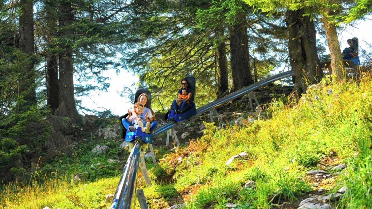 Photo of Others in East Kootenay