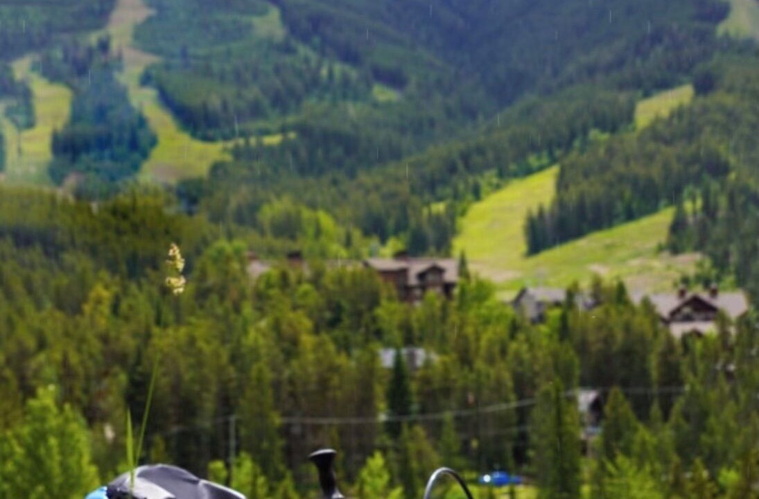 Photo of Others in East Kootenay
