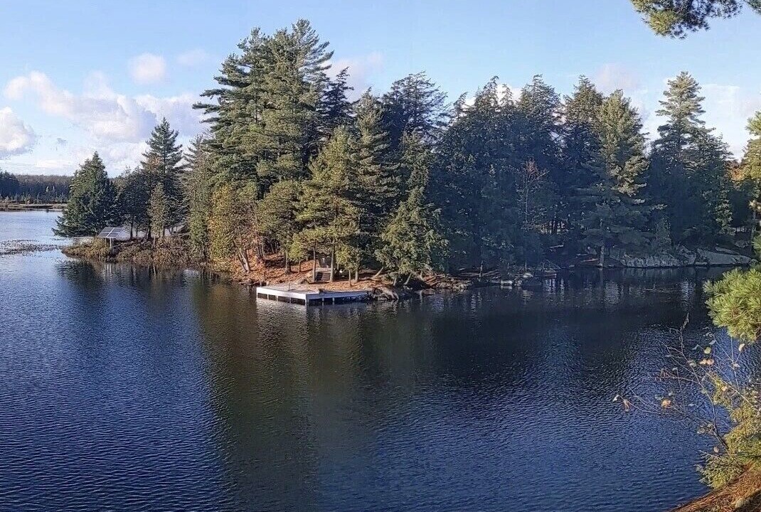 Photo of Others in McKellar