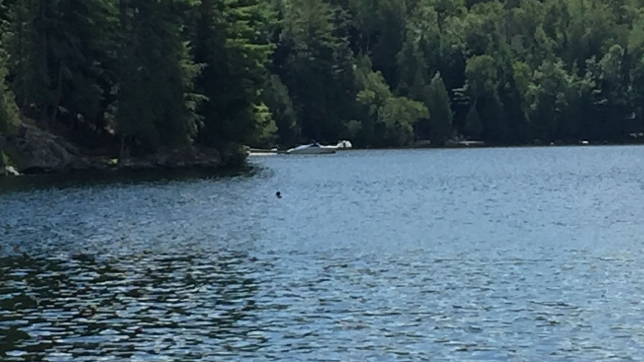 Photo of Outdoor in Algonquin Highlands