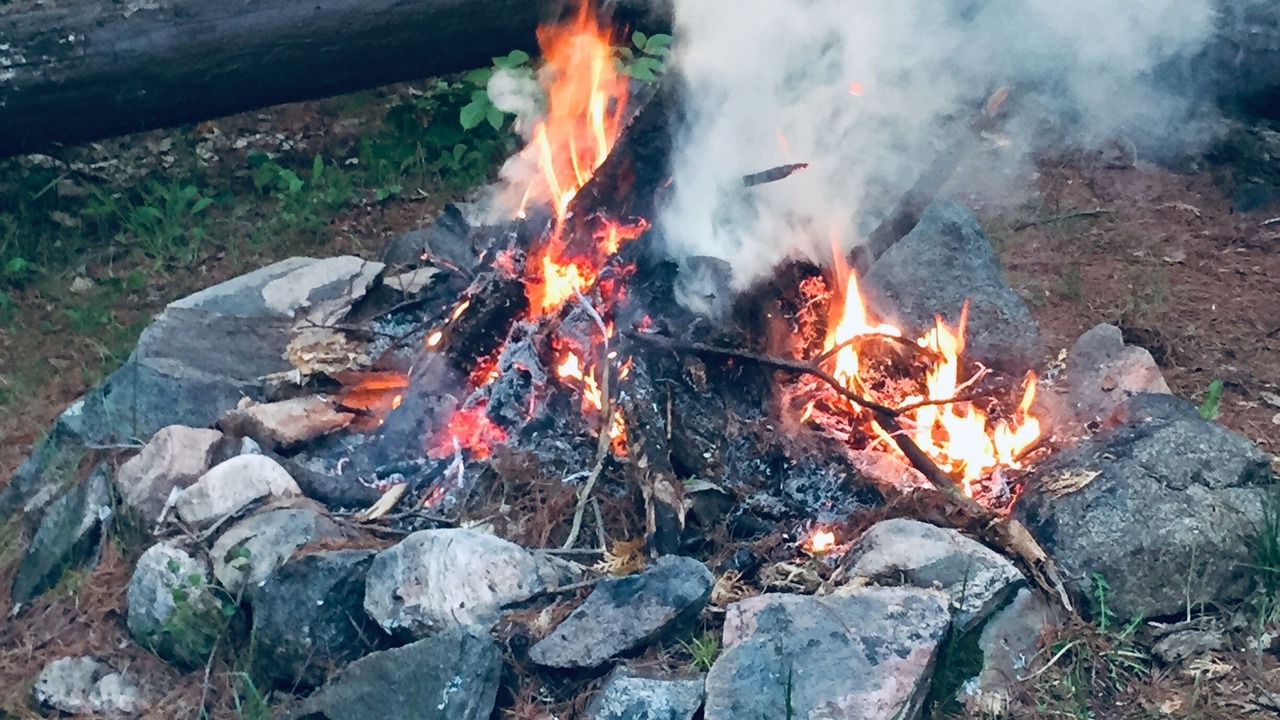 Photo of Outdoor in Algonquin Highlands