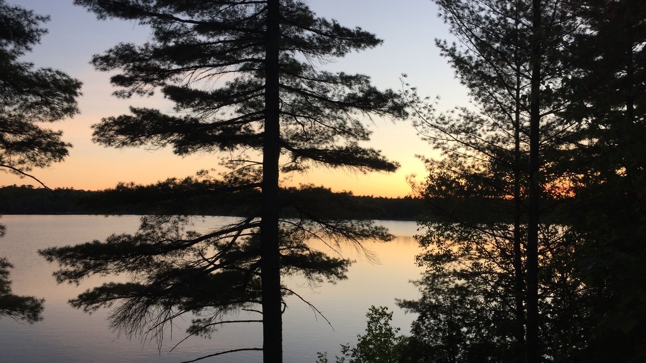 Photo of Others in Algonquin Highlands