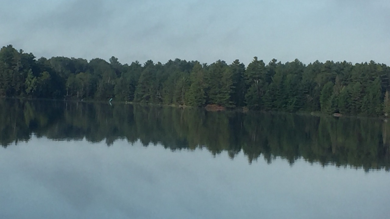 Photo of Outdoor in Algonquin Highlands