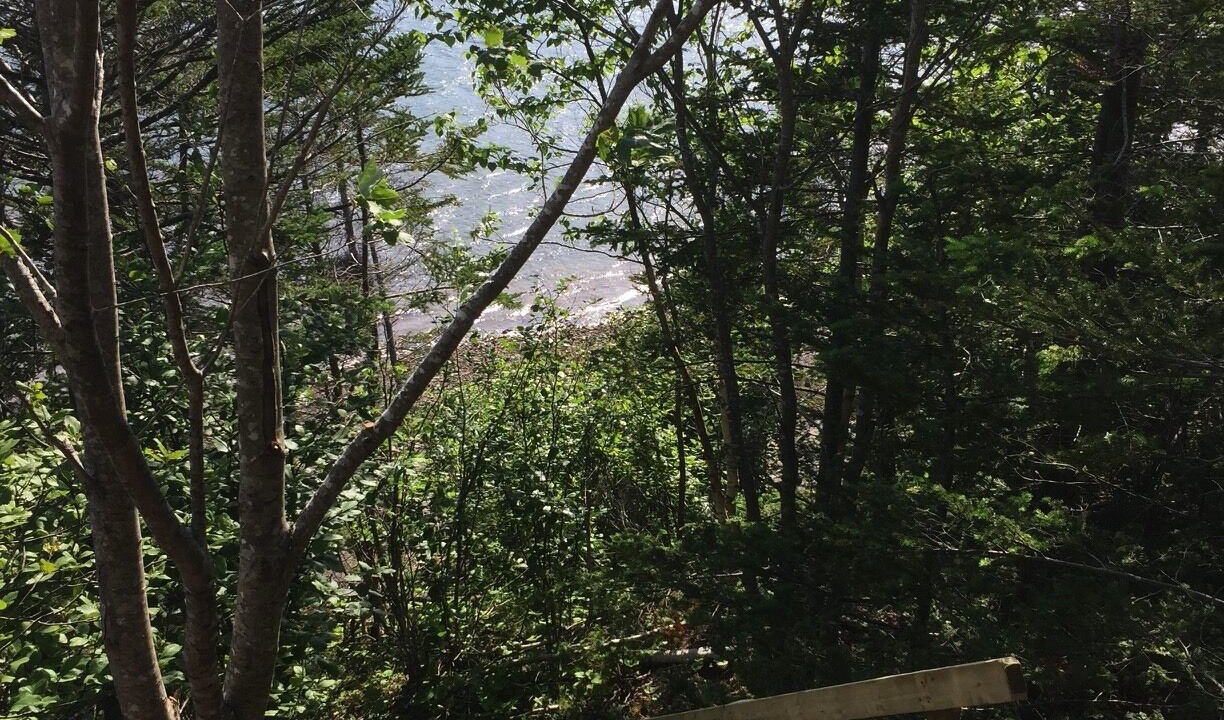 Photo of Outdoor in Walkerville