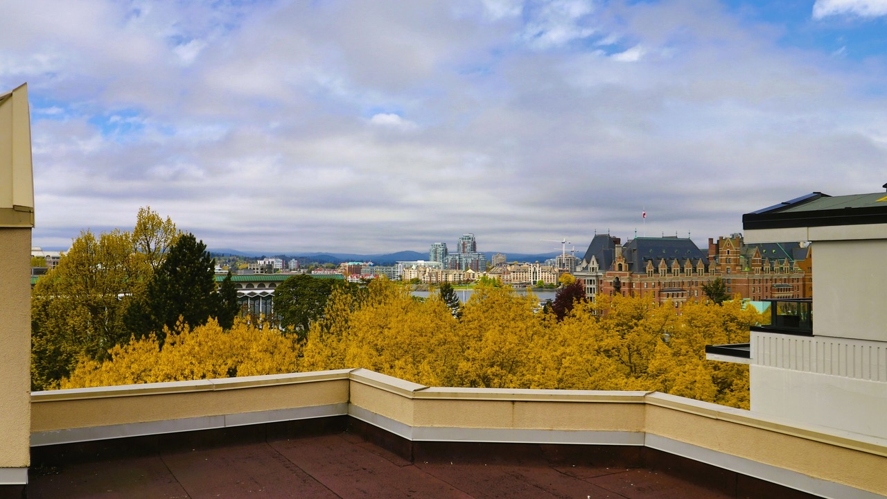 Photo of Patio Balcony in James Bay