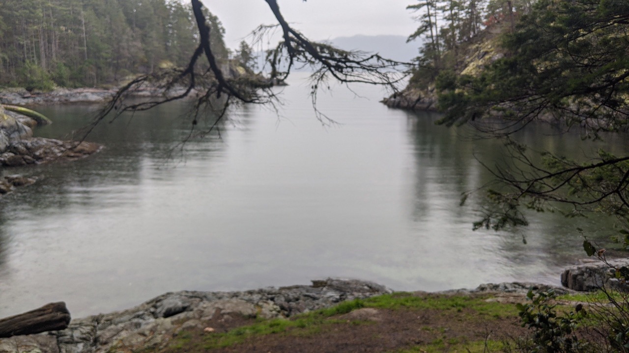 Photo of Others in Madeira Park