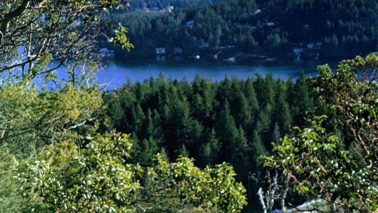 Photo of Outdoor in Madeira Park
