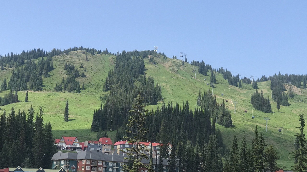 Photo of Others in Silver Star Mountain