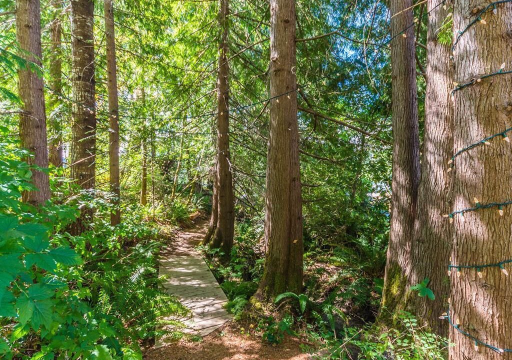 Photo of Outdoor in Sproat Lake