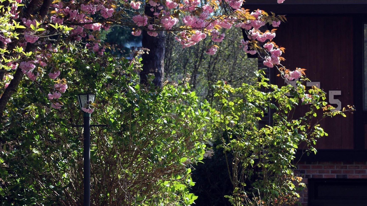 Photo of Others in North Saanich